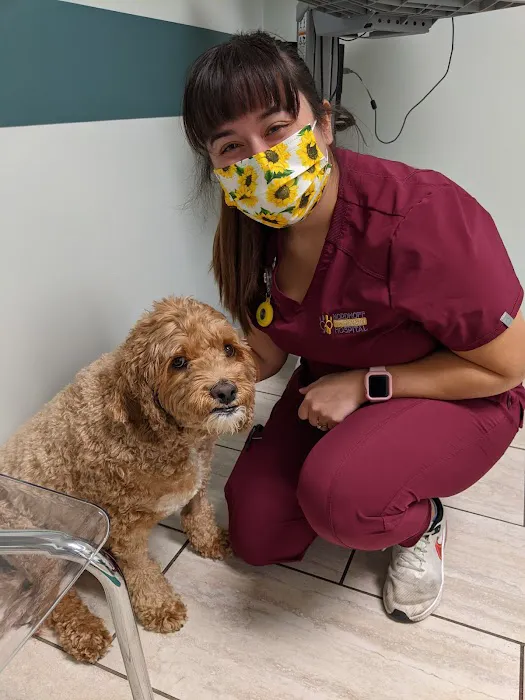 Nordhoff Veterinary Hospital 3