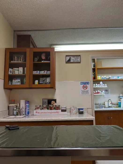 Altadena Pet Hospital 6