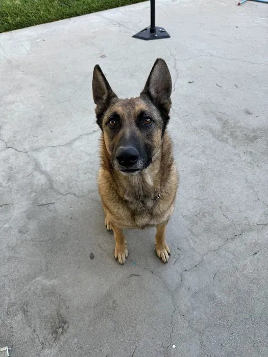 Altadena Pet Hospital 9