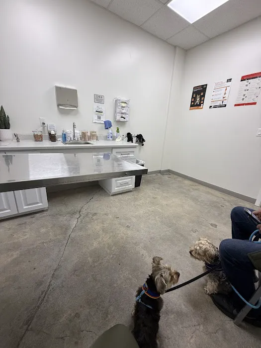 Foothill Vet Clinic at Canoga Park 1