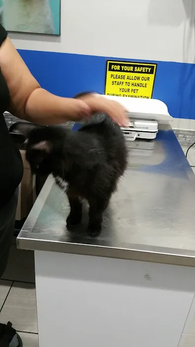 Value Vet Canoga Park 5