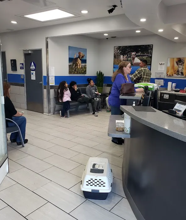 Value Vet Canoga Park 2