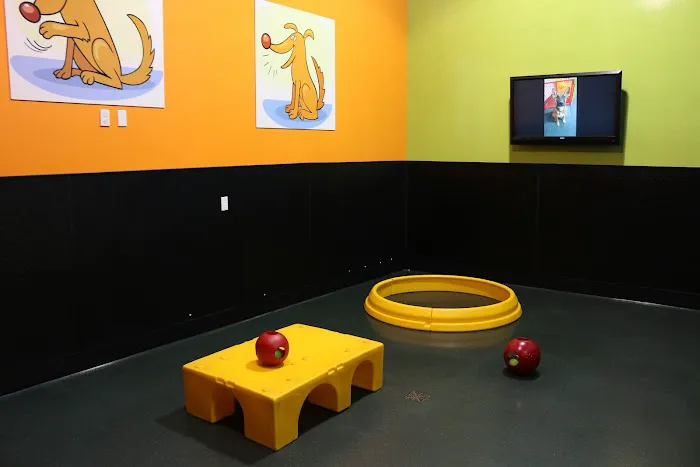 Warner Center Pet Clinic: Jackson Debra DVM 4