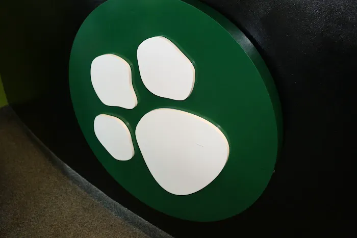 Warner Center Pet Clinic: Jackson Debra DVM 3