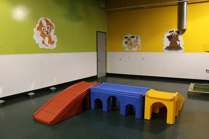 Warner Center Pet Clinic: Jackson Debra DVM 7