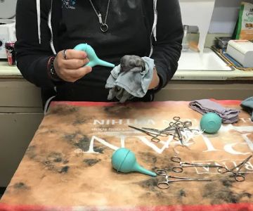 Warner Center Pet Clinic