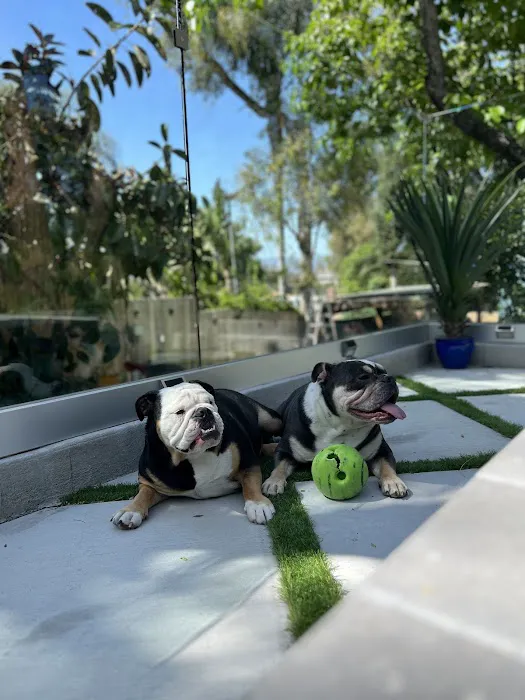 Woodland Hills Pet Clinic 5