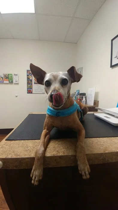 Woodland Hills Pet Clinic 8