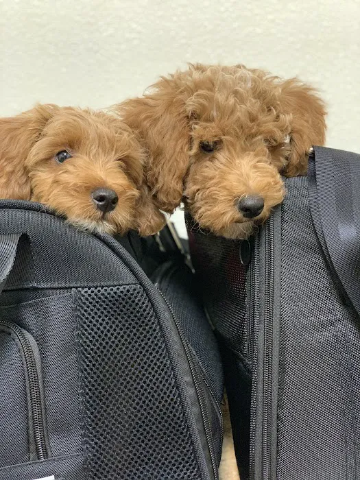 Woodland Hills Pet Clinic 9