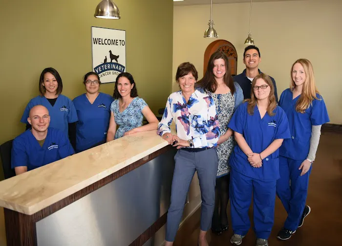 Veterinary Cancer Group SFV, A Thrive Pet Healthcare Partner 10