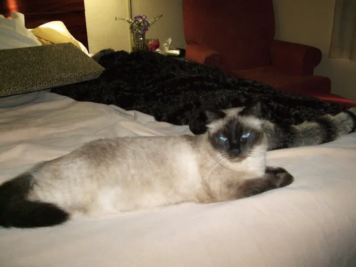 Banfield Pet Hospital 6