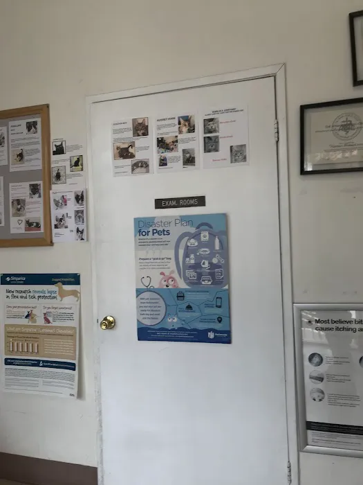Canoga Park Veterinary Center 4