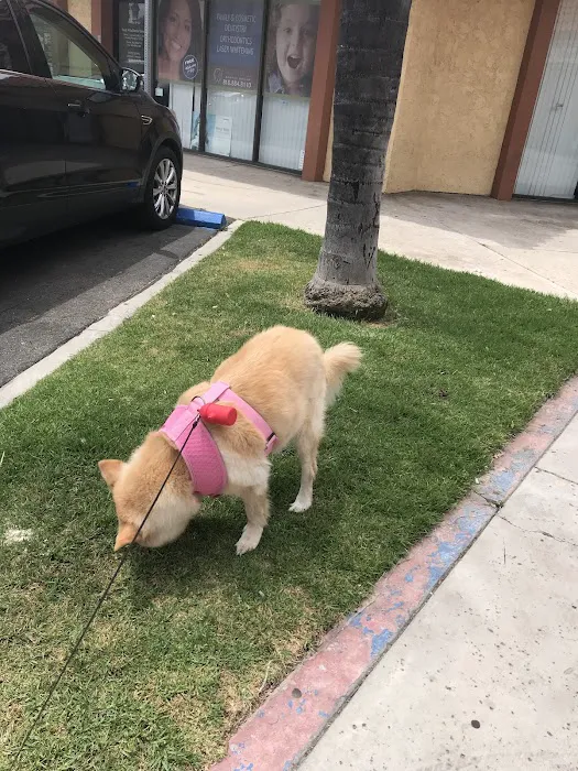 Canoga Park Veterinary Center 6