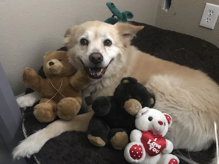 Canoga Park Veterinary Center 10