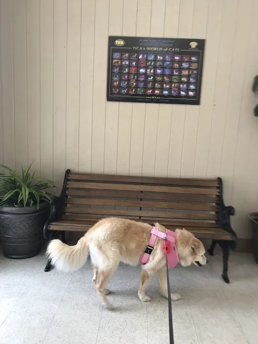 Canoga Park Veterinary Center 7