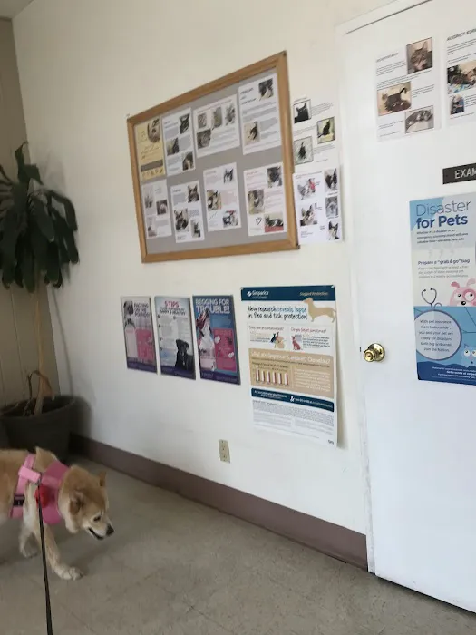 Canoga Park Veterinary Center 1