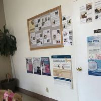 Canoga Park Veterinary Center ico