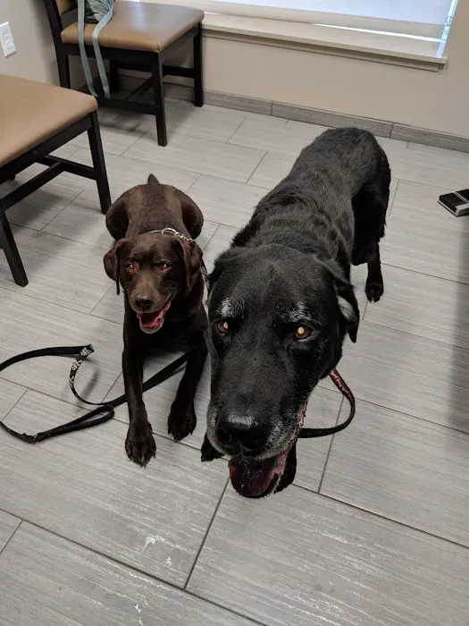 VCA Shaker Road Animal Hospital 9