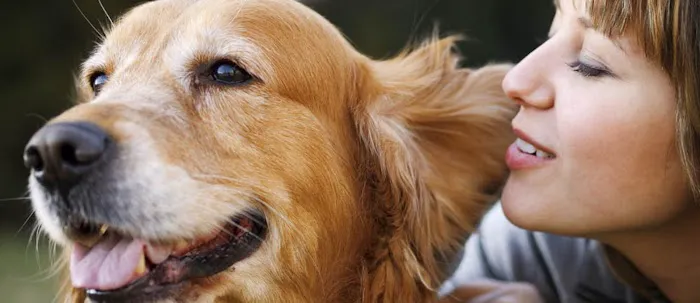 South Paw Animal Care 7