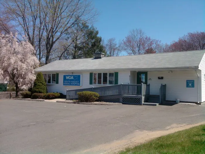 VCA South Hadley Animal Hospital 10