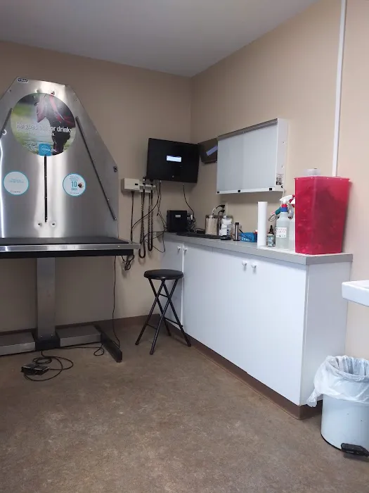 VCA South Hadley Animal Hospital 3