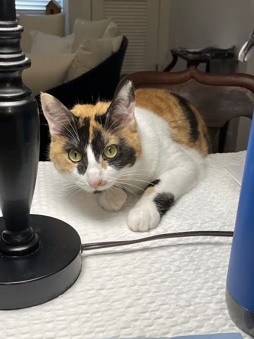Integrity Veterinary Center 6