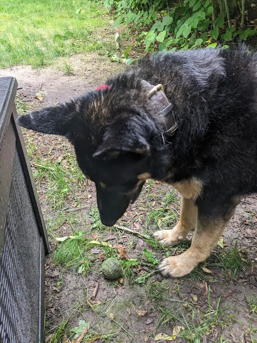 Countryside Animal Hospital 8