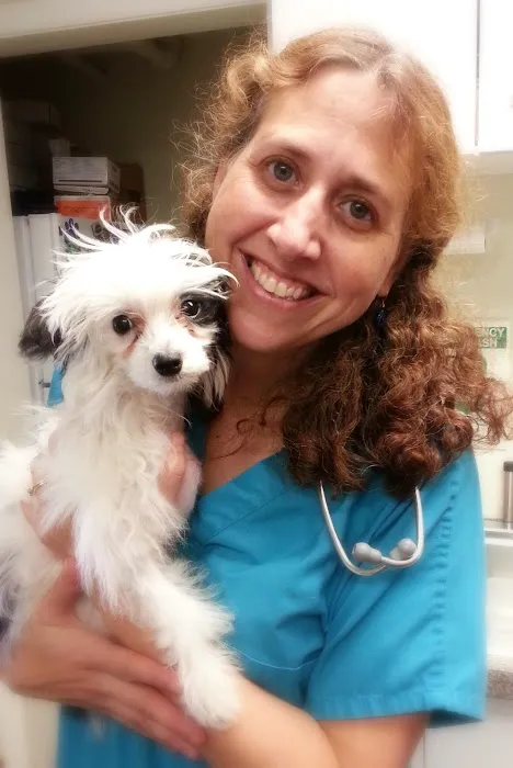 Northampton Veterinary Clinic 3