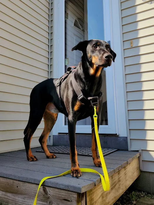 Northampton Veterinary Clinic 8