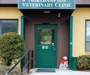 Northampton Veterinary Clinic
