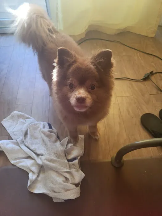 Florence Animal Clinic 1