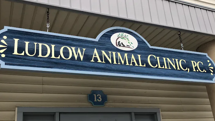 Ludlow Animal Clinic, P.C. 10