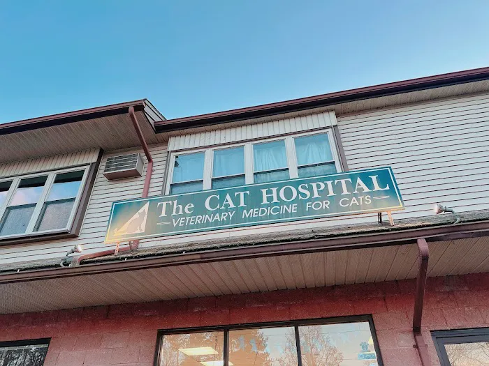 The Cat Hospital 5