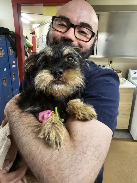 North King Animal Clinic 1
