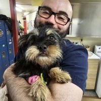 North King Animal Clinic ico