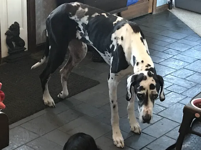 Riverbend Animal Hospital 2