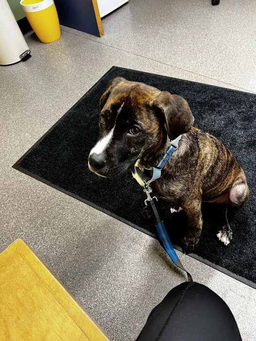 Riverbend Animal Hospital 4