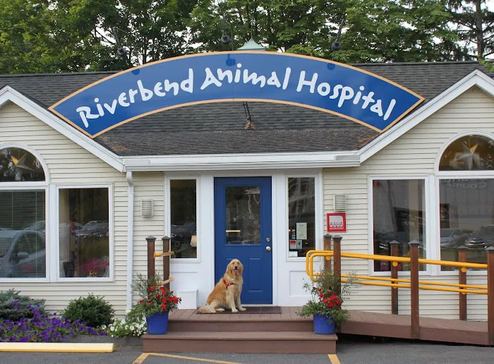 Riverbend Animal Hospital 8