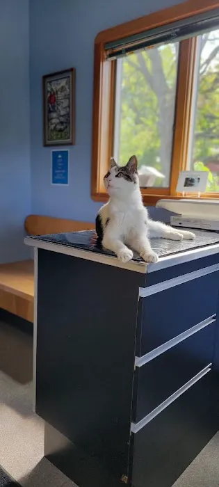 Riverbend Animal Hospital 6