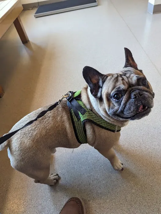 Riverbend Animal Hospital 3