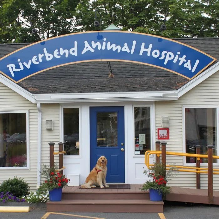 Riverbend Animal Hospital 9