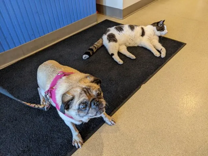 Riverbend Animal Hospital 7