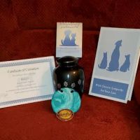 Eastfield Hospital For Animals: Hughes Barbara DVM ico