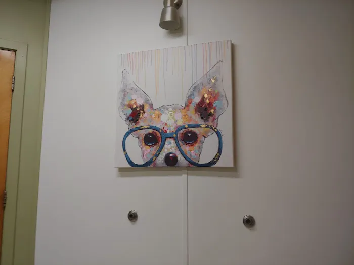 Bolton Veterinary Hospital 6