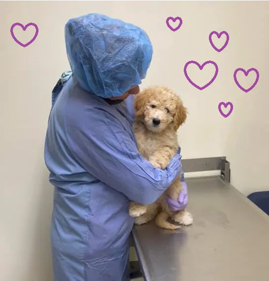 Bolton Veterinary Hospital 8