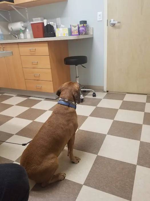 Bolton Veterinary Hospital 5