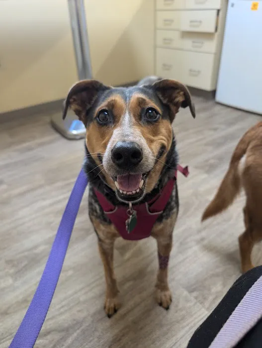 Tolland Veterinary Hospital 3