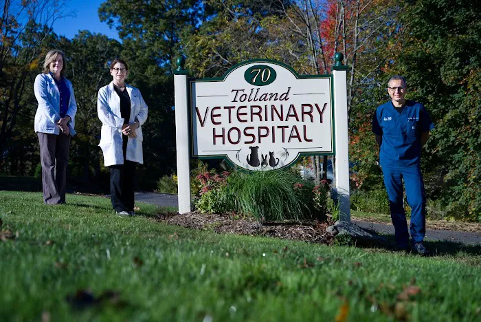 Tolland Veterinary Hospital 8