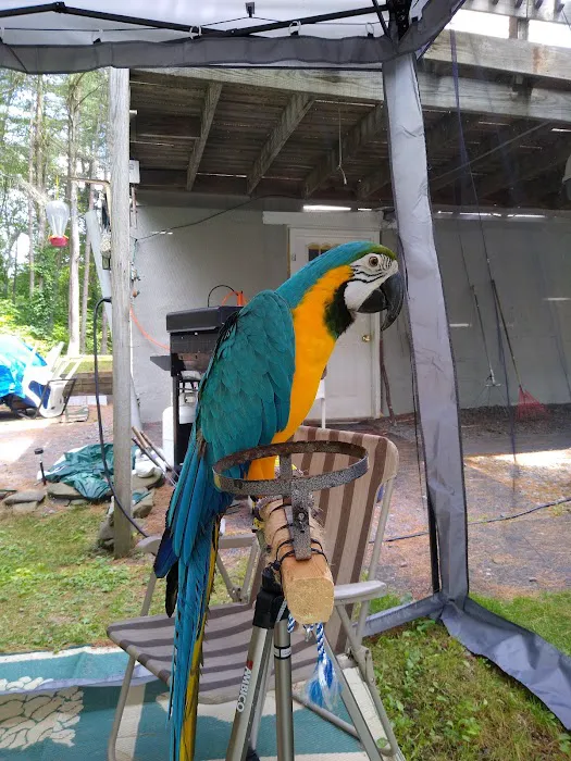 Harmony Veterinary Clinic 5