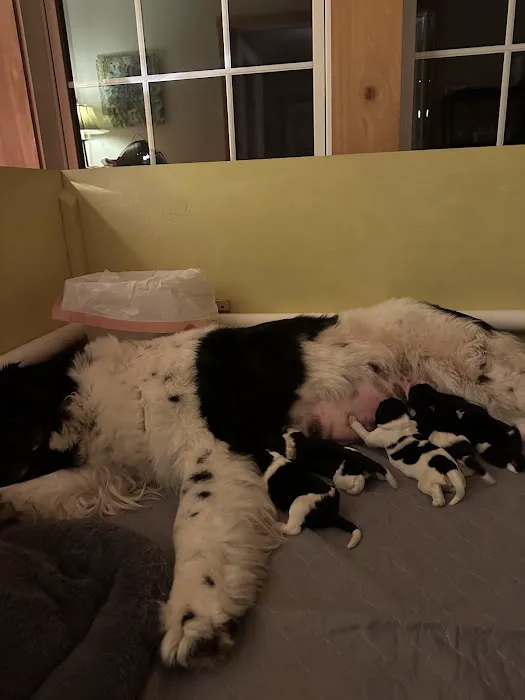 Harmony Veterinary Clinic 3